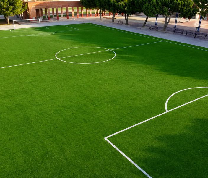 Imagen campo fútbol cesped natural del colegio